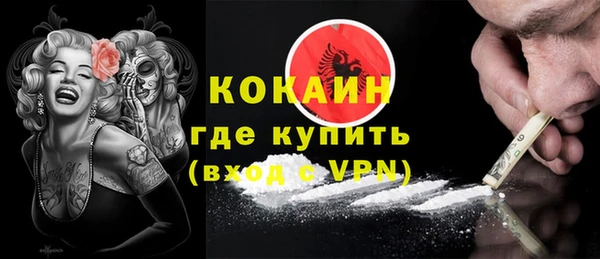 шишки Нефтегорск