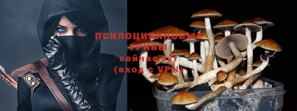 PSILOCYBIN Нефтекумск